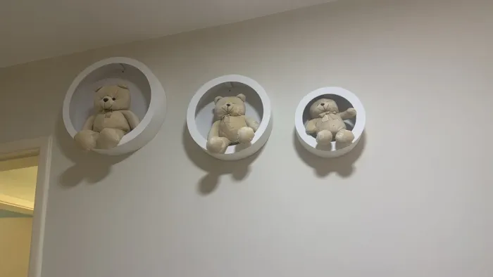 Nincho só os ninchos / para vender logo 60 reais os 3