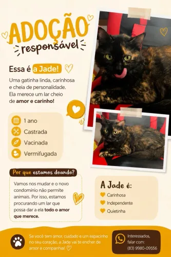 Adoção responsável