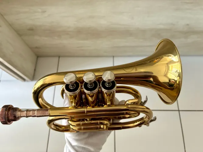 ÚLTIMA OPORTUNIDADE! Trompete Harmonics Pocket Bb