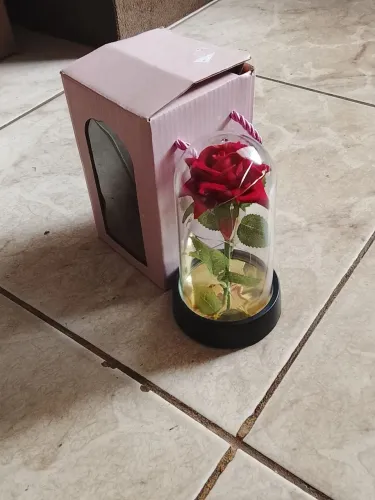 Luminária de rosa vermelha com espinhos