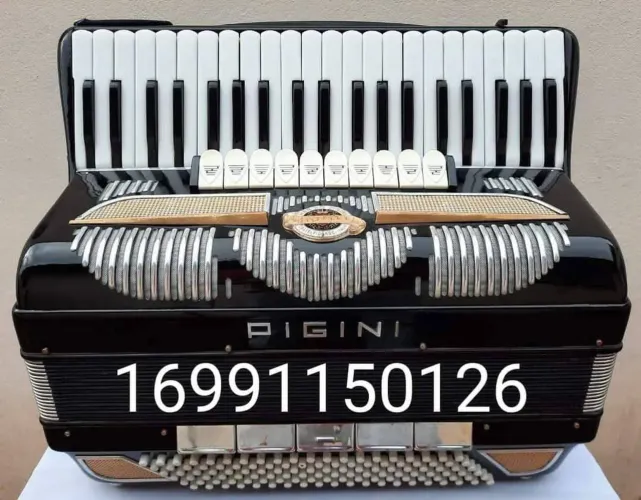 Acordeon Sanfona Pigini de 120 baixos