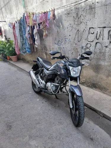 Mata cachorro francês