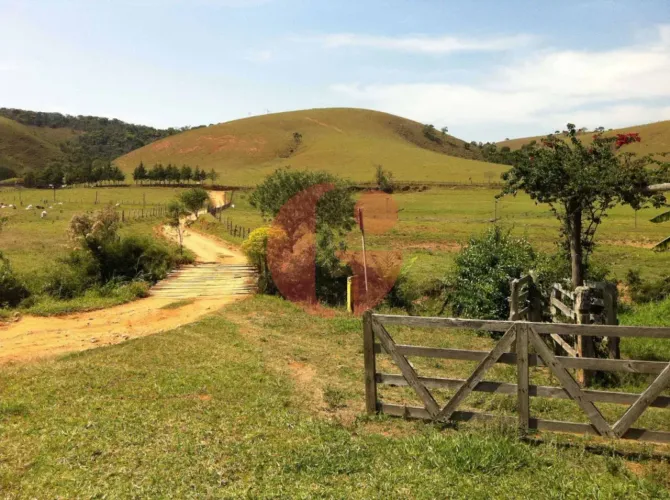 Fazenda de leite e corte 105 alqueires para venda - Bairro dos Macacos