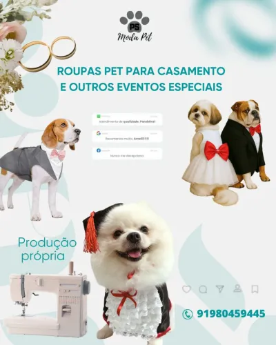 Roupas pet para cães e gatos sob medida