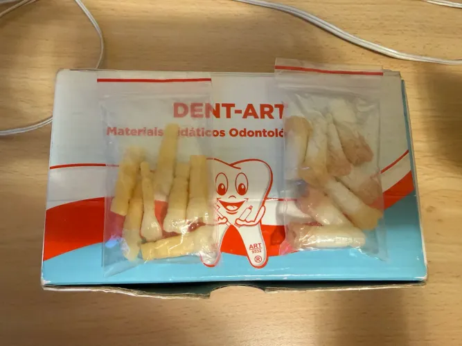 Manequim dentistica usado. Com dentes para troca. Dent-art