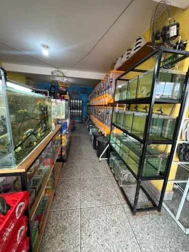 Vendo agropecuária!!