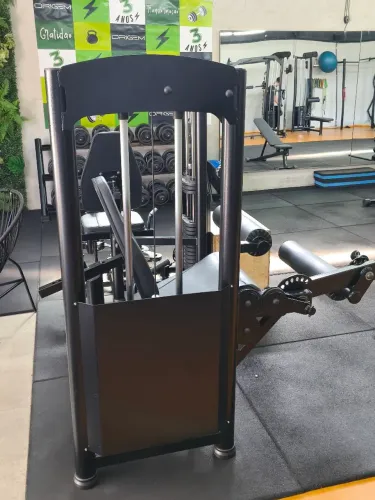 Cadeira extensora e flexora - academia