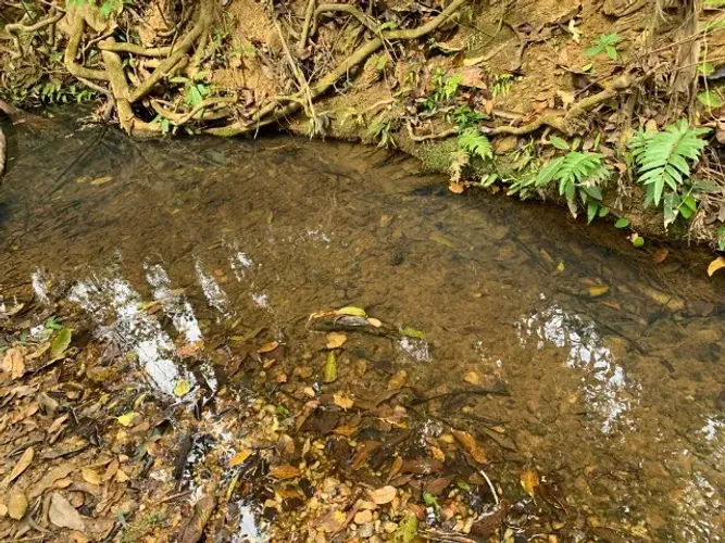 Terreno rural 10ha, com barracão, com riacho no fundo, bela vista, Jaboticatubas. 