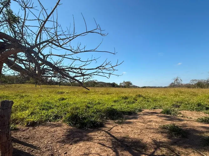 Fazenda toda formada