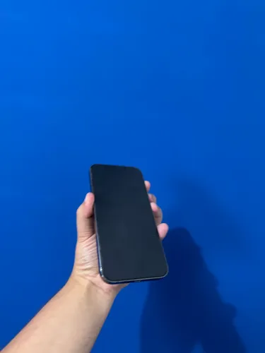 iPhone 12 Pro Max 256 GB