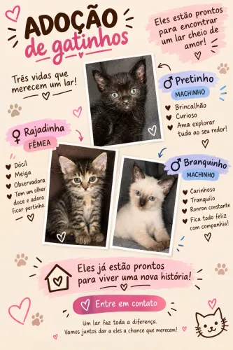 Doação de gatinhos ?