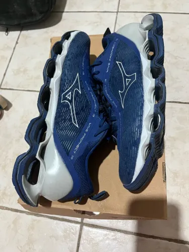 Mizuno prophecy 13