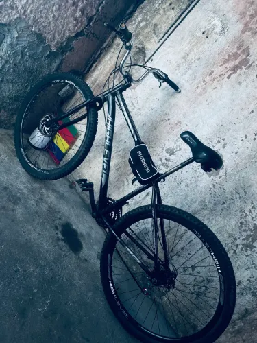 Bicicleta aro 29