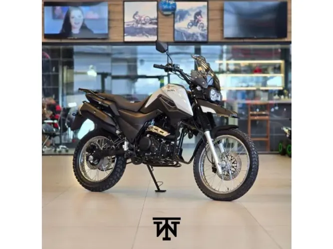 shineray SHI 175