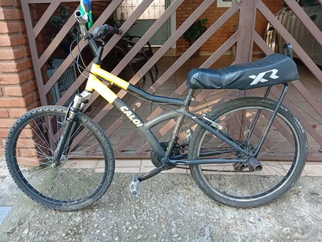 Bicicleta