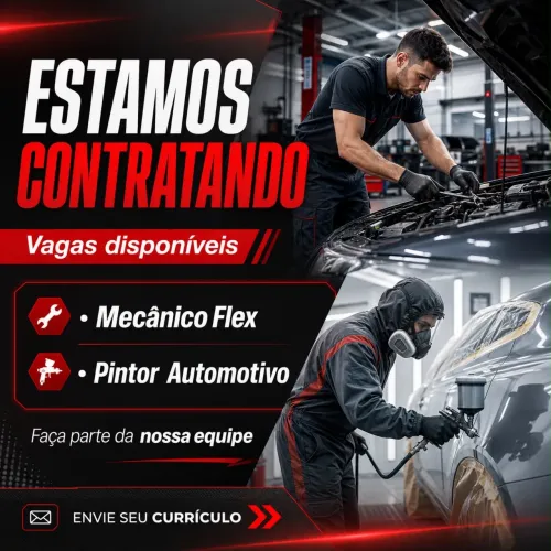 Pintor automotivo e mecânico flex 