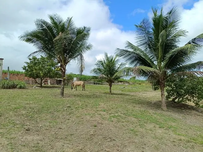 Chácaras em Satuba/AL de 3800m² a 8000m²