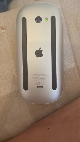 Apple Mouse