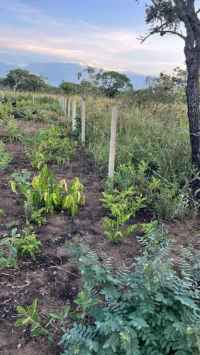 Terreno 1050 m2 , TRES MARIAS , MG