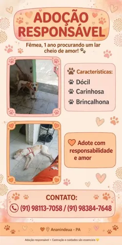 Adoção responsável 