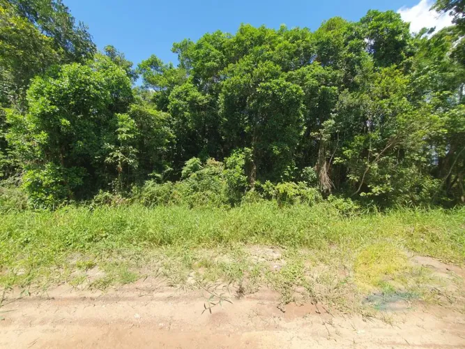 Terreno à venda, 450 m² por R$165.000,00 - Balneário Saí Mirim - Itapoá Sc.