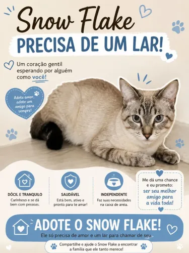 Gato