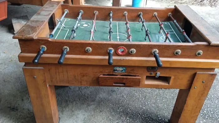 Vendo totó profissional