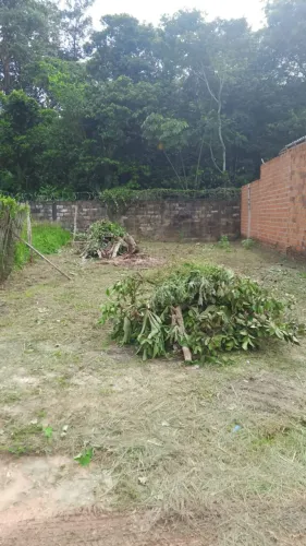 Vendo Terreno em Benevides - Maguari