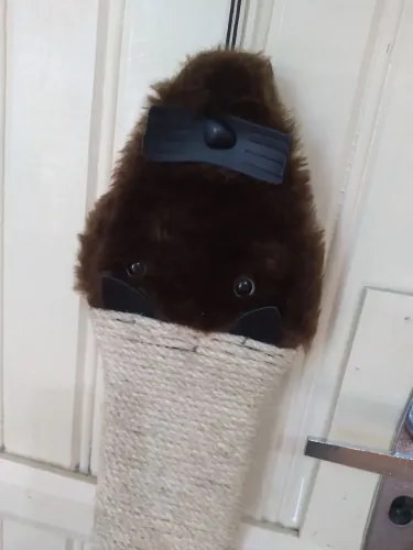 Arranhador para gatos