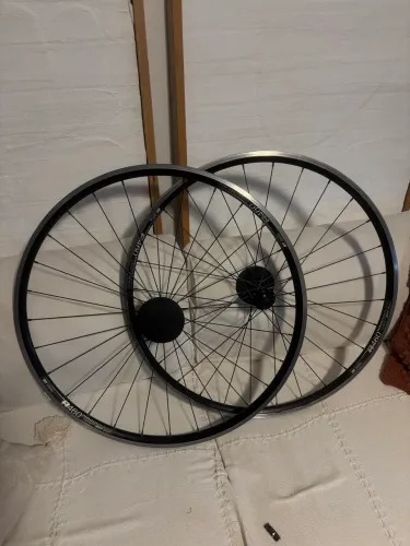 RODAS DTSWISS 460