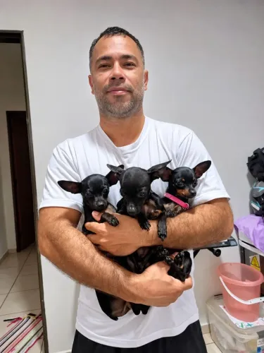PINSCHER ZERO  PARA COBERTURA 