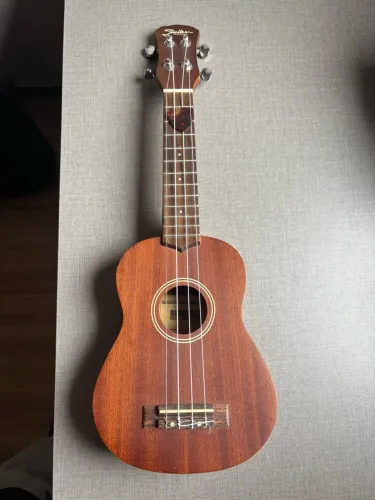 Ukulele Shelter USA