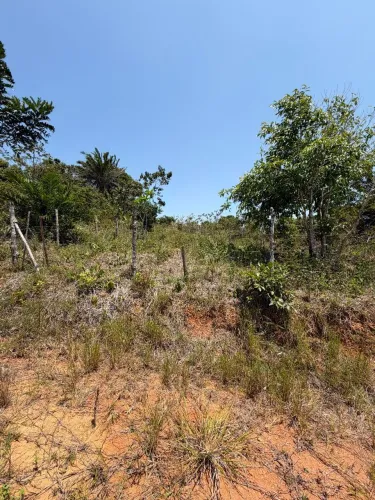 Terreno Ilha de Tairu Vera Cruz