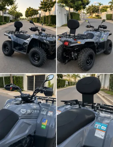 Cf motors Goes terra 2 meses de uso