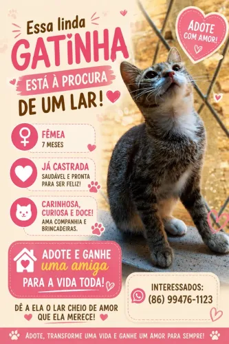 Gata 6m castrada para adoção