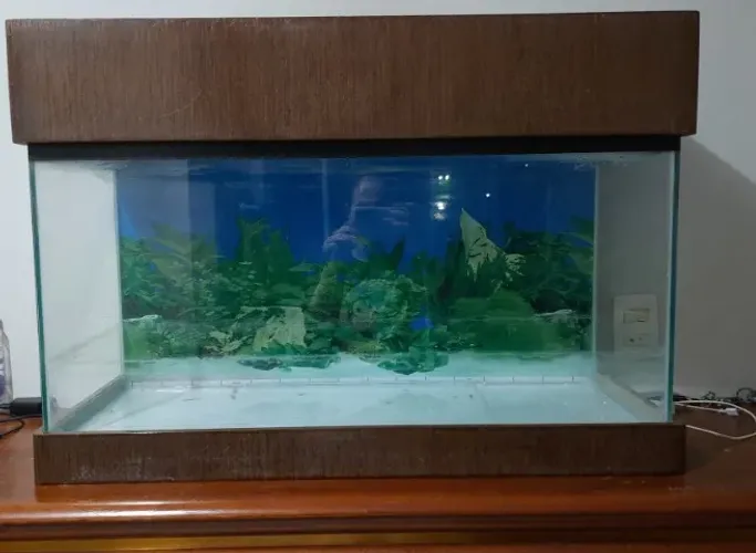 Aquario semi novo. 80L x 40A X 30C