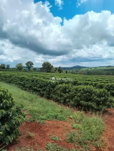 5.050 hectares.191 ha de eucalipto,120 ha de seringueira, 10 ha de abacate