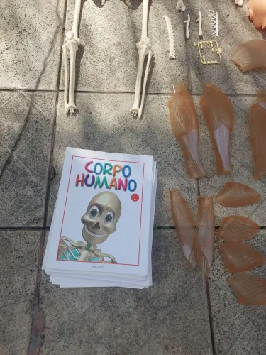 Corpo humano