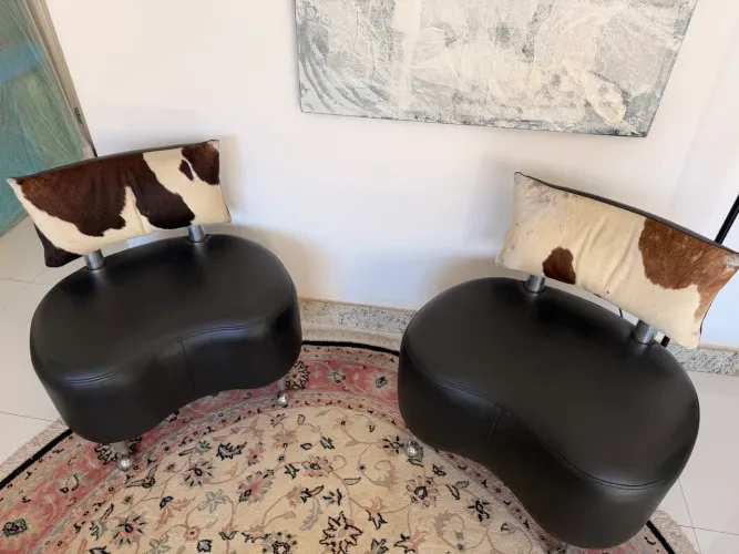 Poltrona modelo orgânico 