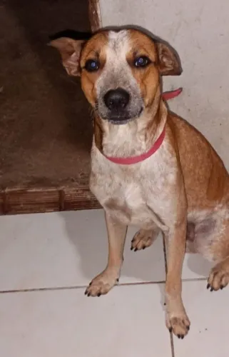 Doação