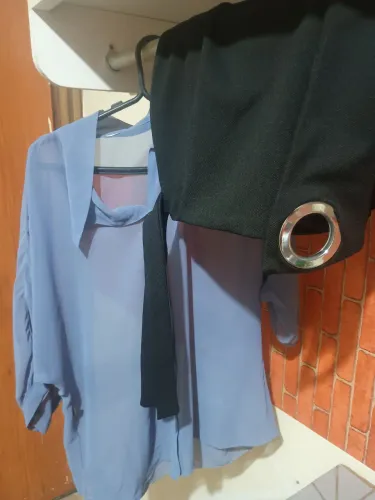 Vendo um conjunto de roupas,,saia e blusa transparente linda,tecido fino
