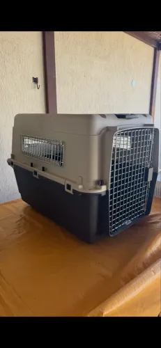 Caixa Pet para avião 