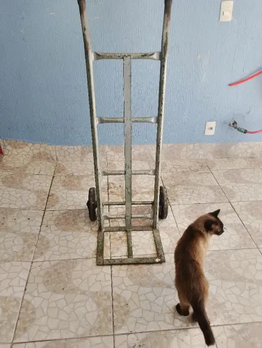 Carrinho de cargas