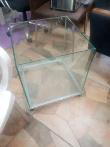 Vaso para plantas de vidro 