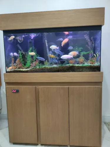 AQUÁRIO 200L COMPLETO