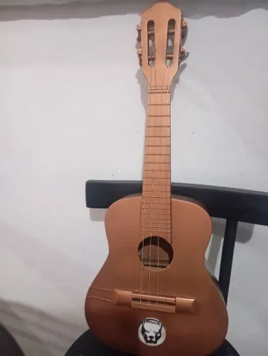 Cavaquinho de Samba e pagode.