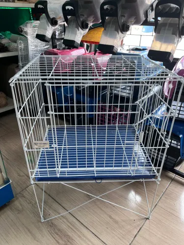 Gaiola para porquinho da índia promoção 