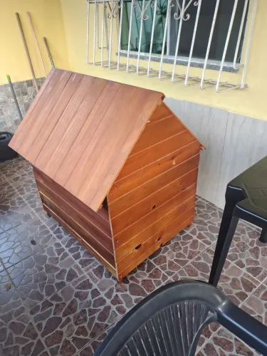 Casinha de cachorro 