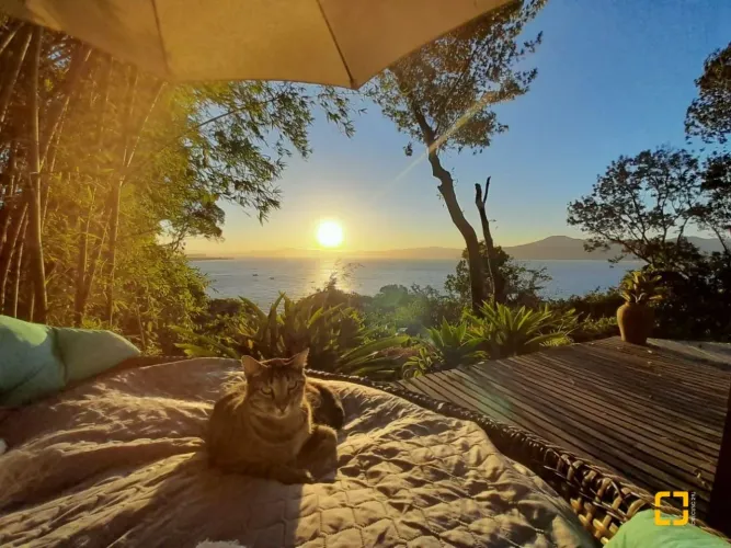 TERRENO com casas em ampla estrutura multifamiliar de frente para o mar na Praia do Forte 