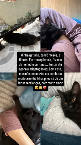 Gatinha